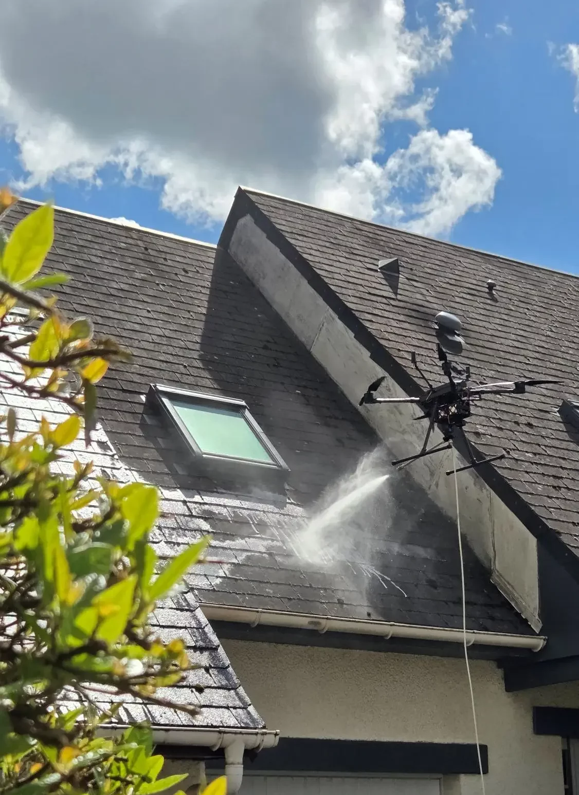 démoussage par drone