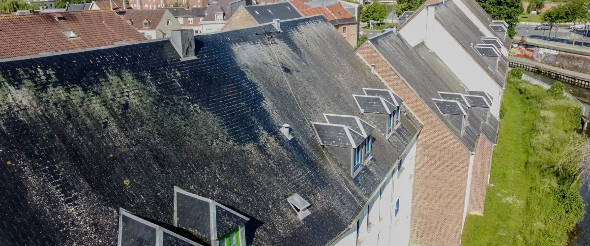 Démoussage de toiture par drone